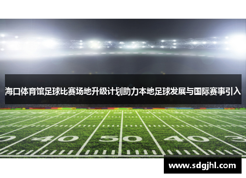 海口体育馆足球比赛场地升级计划助力本地足球发展与国际赛事引入