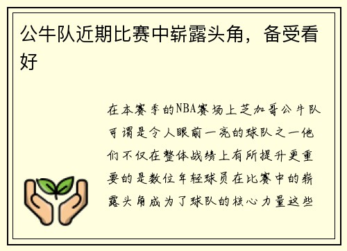 公牛队近期比赛中崭露头角，备受看好